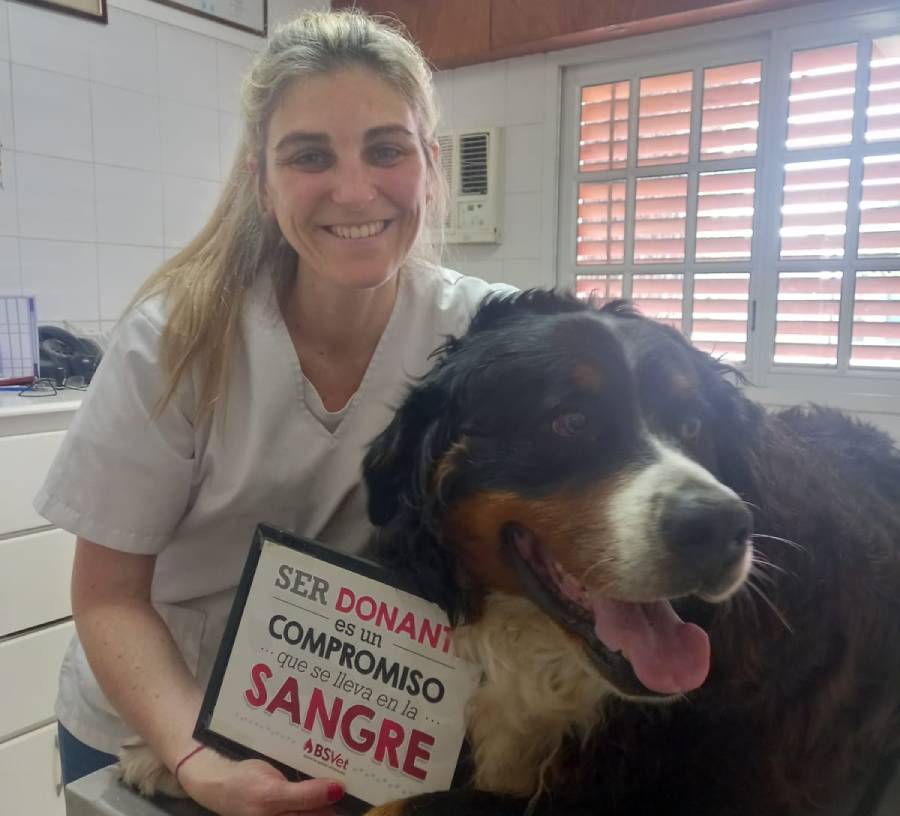 Funes: primer municipio en tener convenio con un banco de sangre de animales